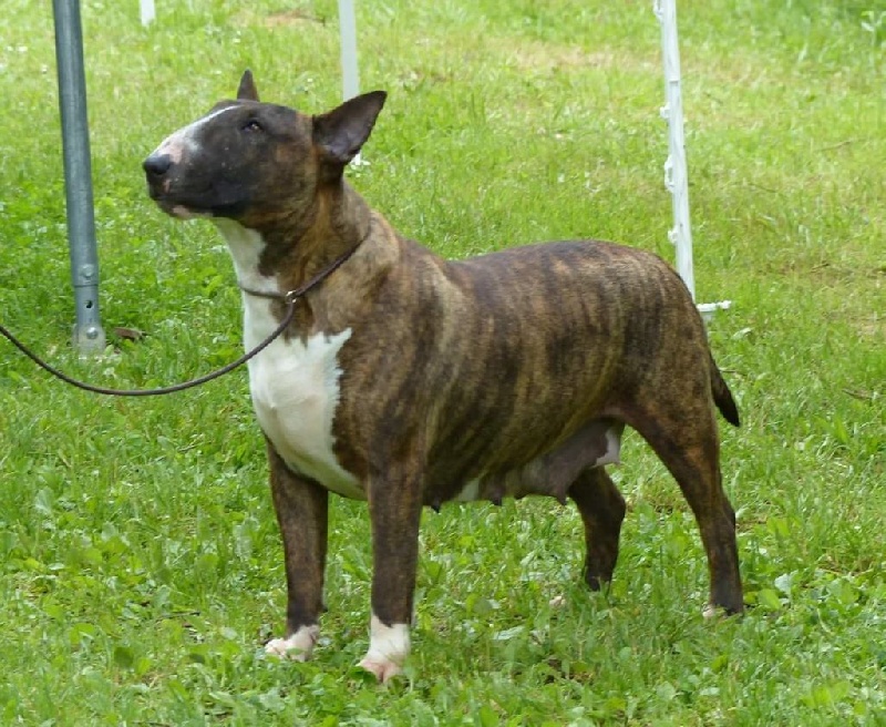 Georgiana des prés de Nélissa